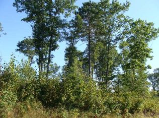 40AC Off McCormick Lake Rd, Harshaw, WI 54529