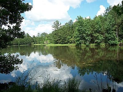 1st image of 164 Lake Bold Springs Dr