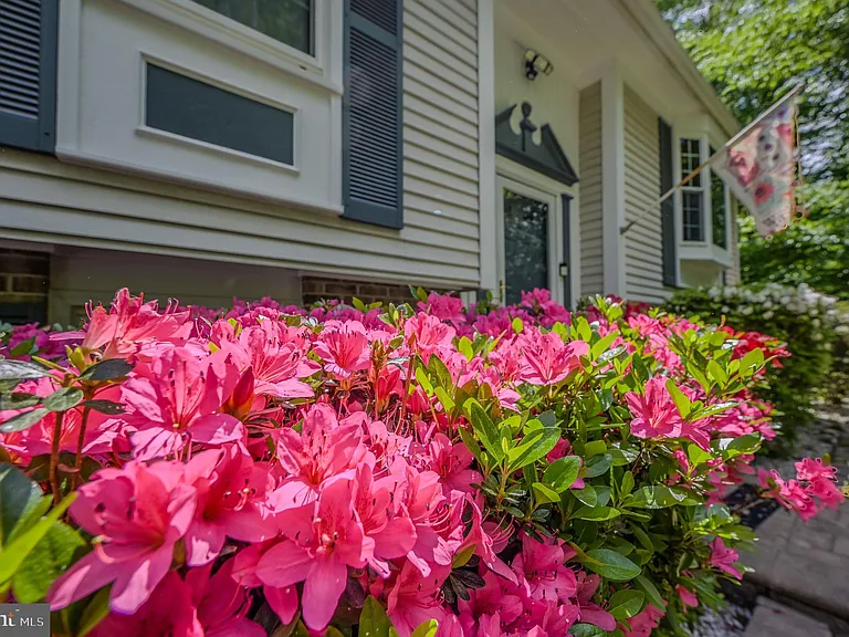 12510 Basswood Dr — Photo 16
