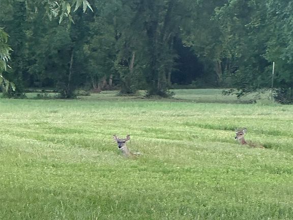 5th image of 3935 Spring Branch Rd