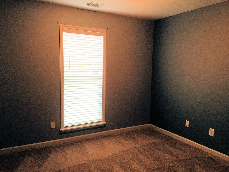 725 Whispering Willow Way — Photo 8