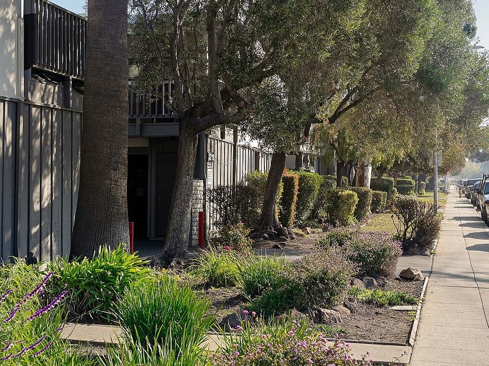 Bay Terrace Apartment Rentals San Mateo, CA Zillow