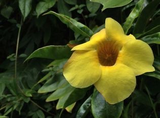 Luana St LOT 87, Pahoa, HI 96778