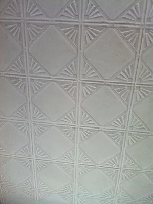 Rented by Plymouth Electric Inc. | media 12