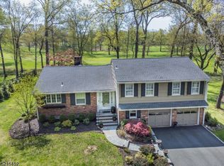 142 Canoe Brook Rd, Short Hills, NJ 07078