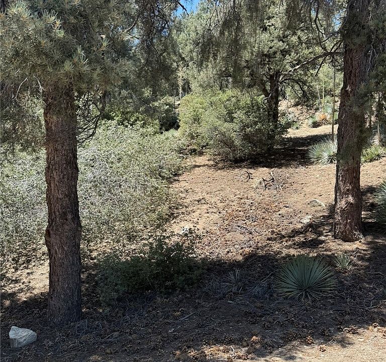 2nd image of 2413 Cedarwood Dr Lot 175