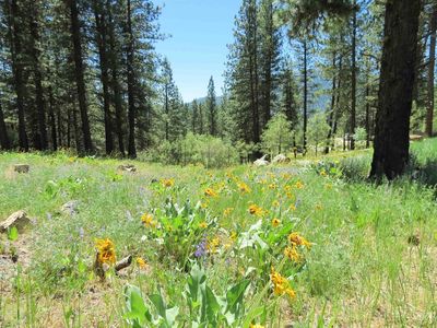 83 White Pine Dr, Garden Valley, ID, 83622