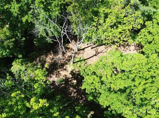 99999 Pink Fox Cove Rd, Weaverville, NC 28787