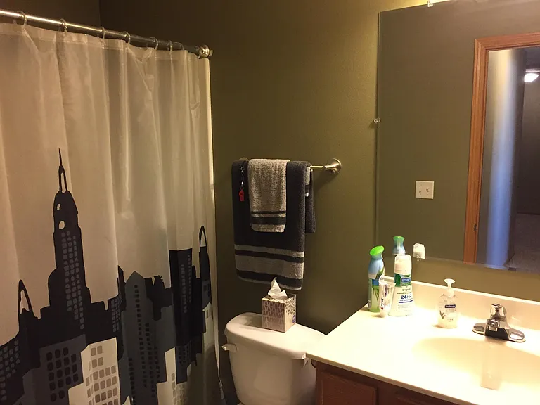 2nd floor hallway bathroom