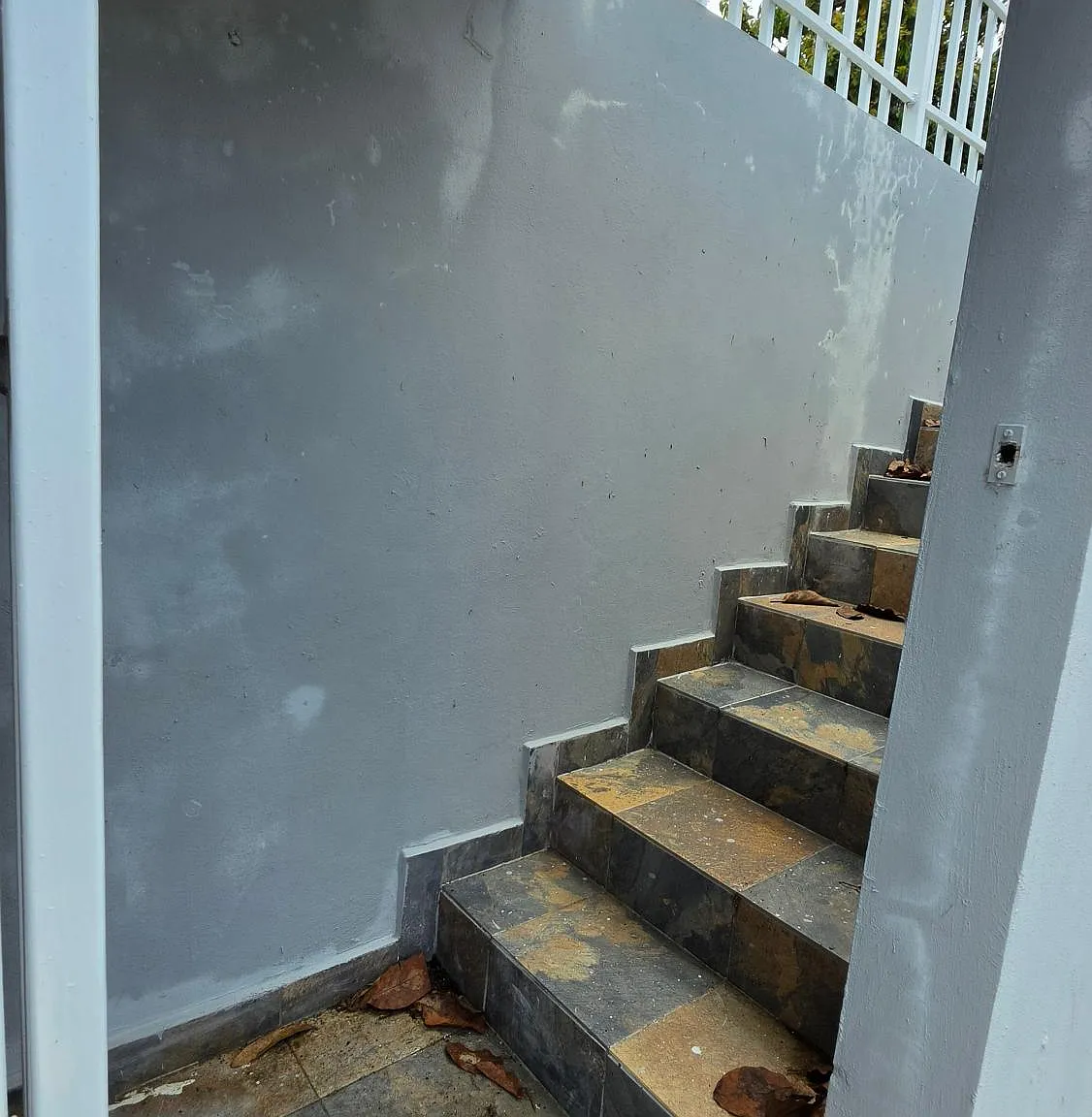 1 bed, 1.0 bath, 350 sqft, $800 — Photo 2