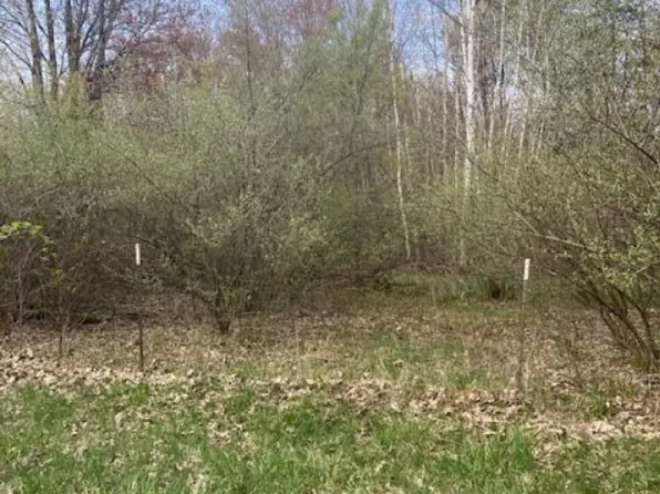 200 Froede Rd, Deford, MI 48729