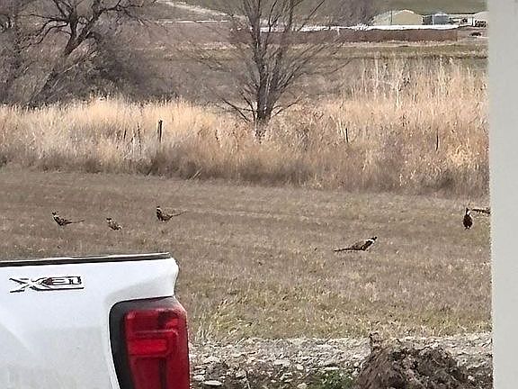 3rd image of 1932 Miller Rd