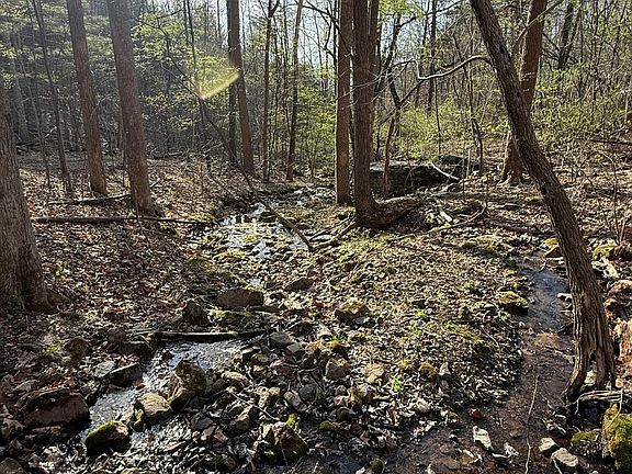 5th image of Fredericksburg Rd