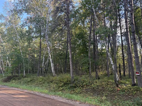 Tbd Evergreen Dr, Nevis, MN 56467