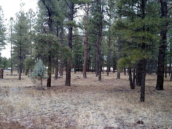 4th image of 3829 E Pine Cone Dr