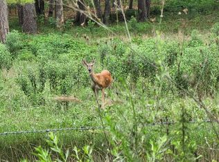 2601 Ralphy Way, Birch Tree, MO 65438