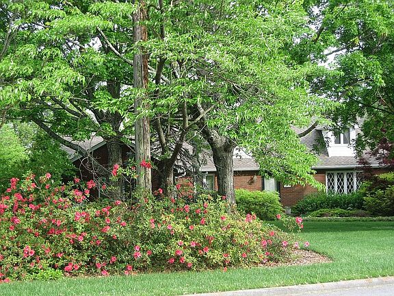 3rd image of 1316 Highvue Dr