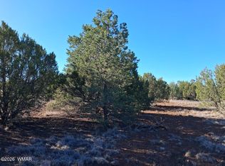 1294 Geronimo Dr, Show Low, AZ 85901