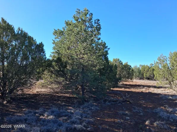 1294 Geronimo Dr, Show Low, AZ 85901