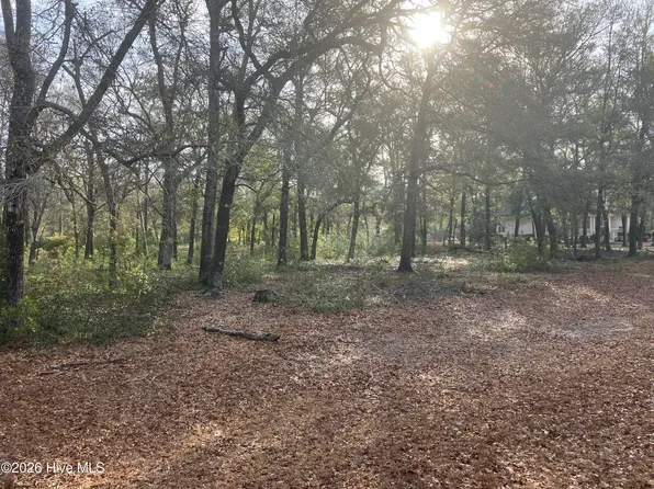 2172 Clambake Ct SW Lot 211, Supply, NC 28462