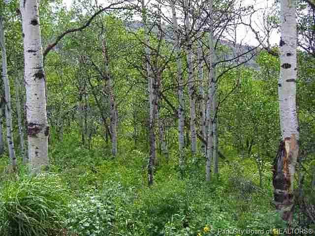 1st image of Timberlakes Dr #1720