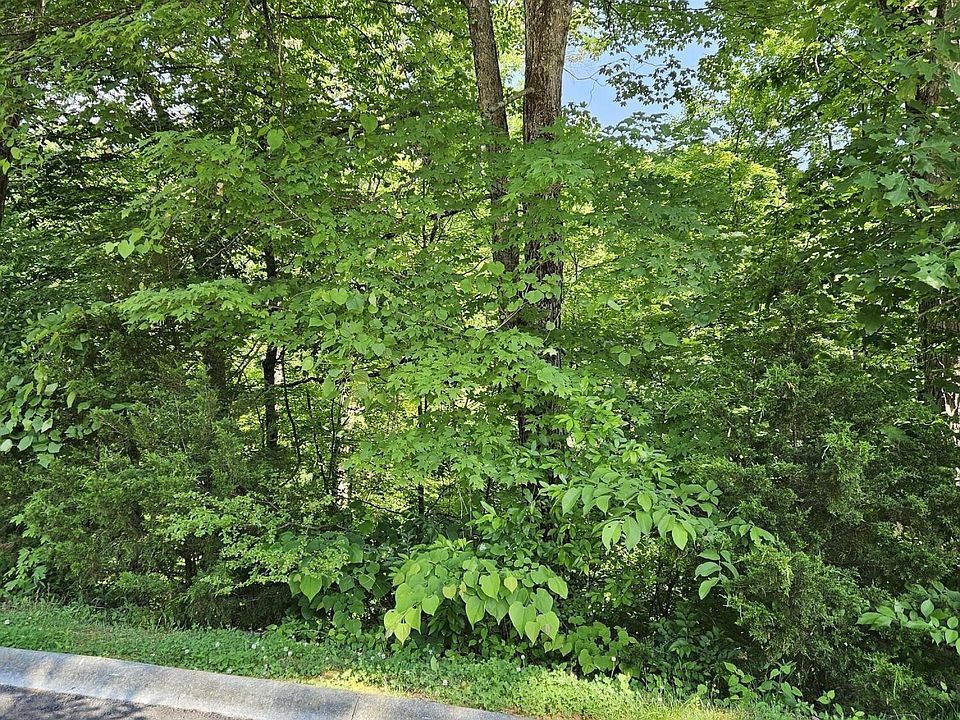 1st image of 15 Saddleback Way Lot 15