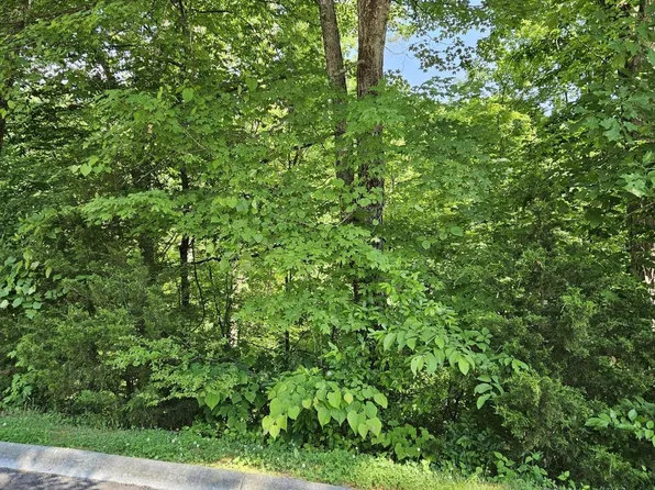 15 Saddleback Way Lot 15, Sevierville, TN 37862