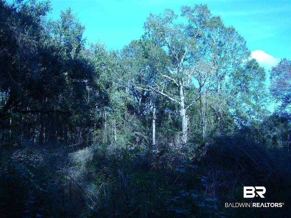 1st image of 0 Lilly Wilson Ln