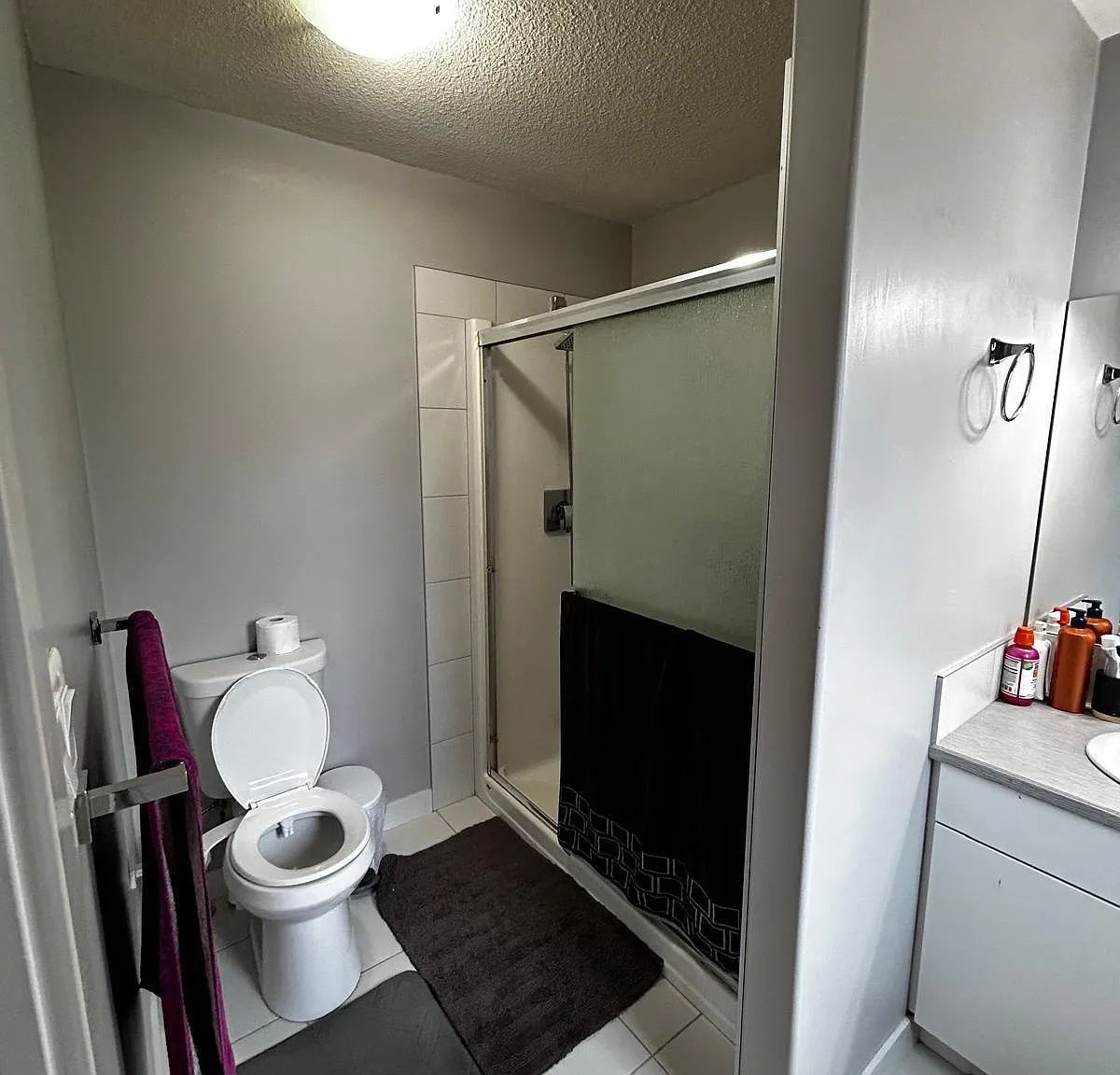3 bed, 2.5 bath, 1537 sqft, $2,500 — Photo 2