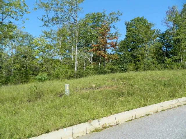4005 Justin Way photo 1