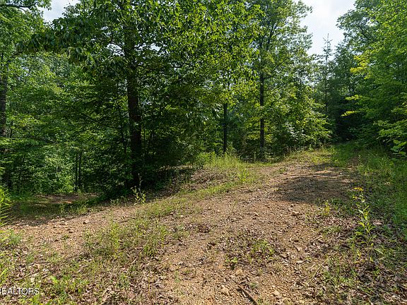 5th image of 8539 Norris Ln