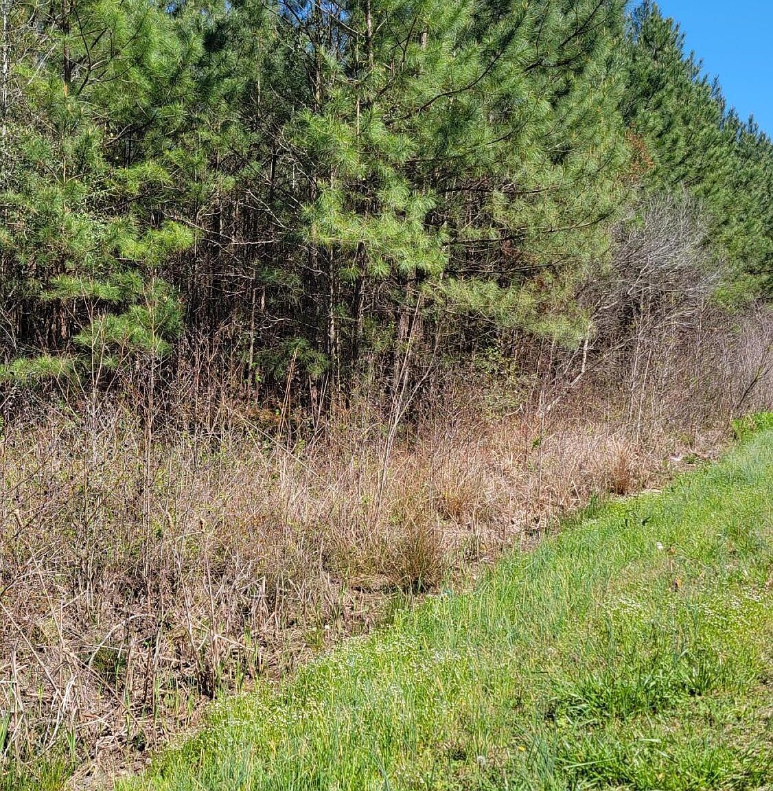 87 N.C. 87 Highway E, Riegelwood, NC 28456 | Zillow