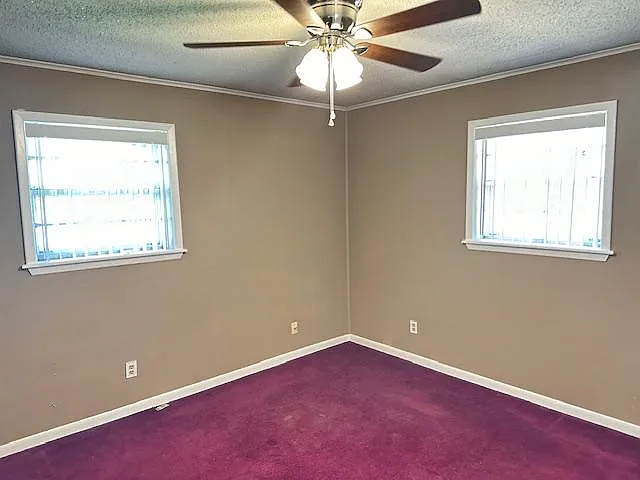 1523 Live Oak St — Photo 9