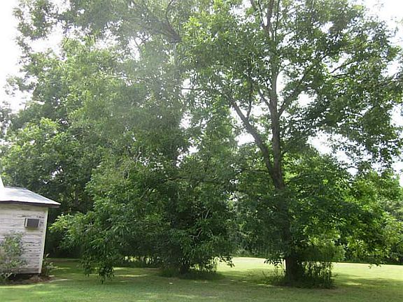 2nd image of 15850 Berthelot Ln