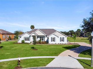 4513 Claire Rose Ct, Mount Dora, FL 32757