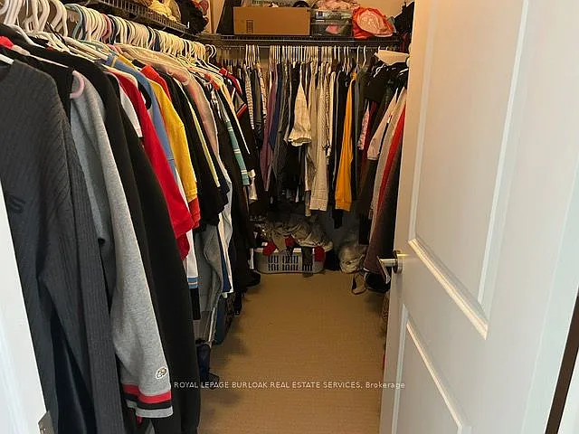 57 Macbean Cres — Photo 15