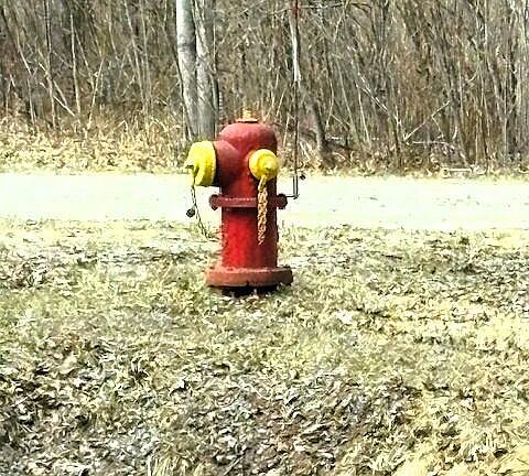 5th image of W Prairie Rd