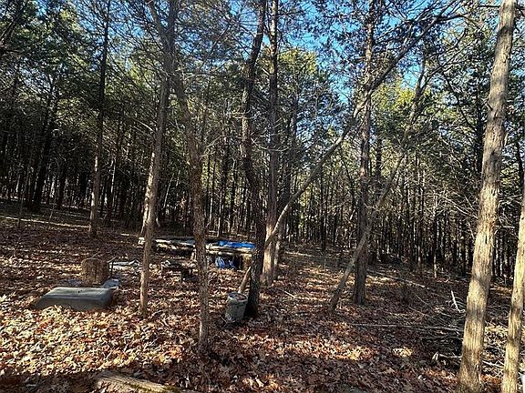 5th image of 30 Acres Hwy #47