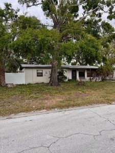 3205 W Tyson Ave, Tampa, FL, 33611