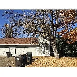 10963 Hirschfeld Way photo 1