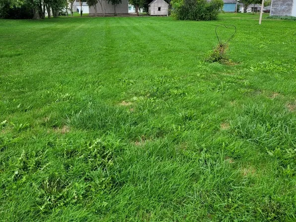 603 N 5th Ave, Chenoa, IL 61726