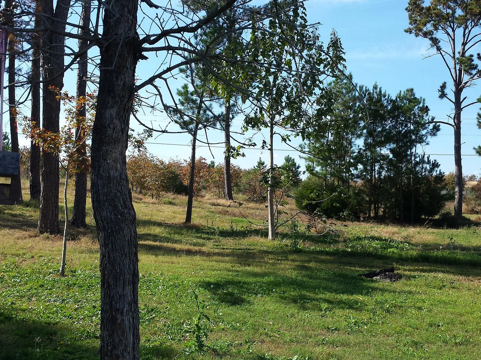 3 bed, $1,295 — Photo 4