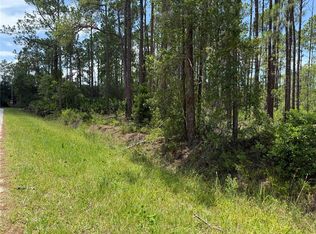 2914 Avocado Blvd #11, Bunnell, FL 32110