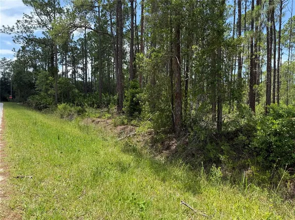 2914 Avocado Blvd #11, Bunnell, FL 32110