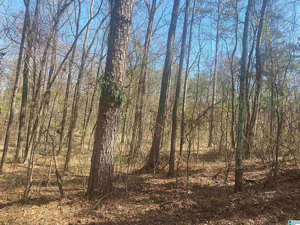 1st image of 0 River Dr Lot 7