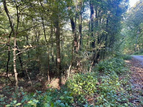 0 Lakeside Dr Lot 49/50, Smithville, TN 37166