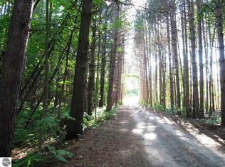 S Cedar Rd, Cedar, MI 49621