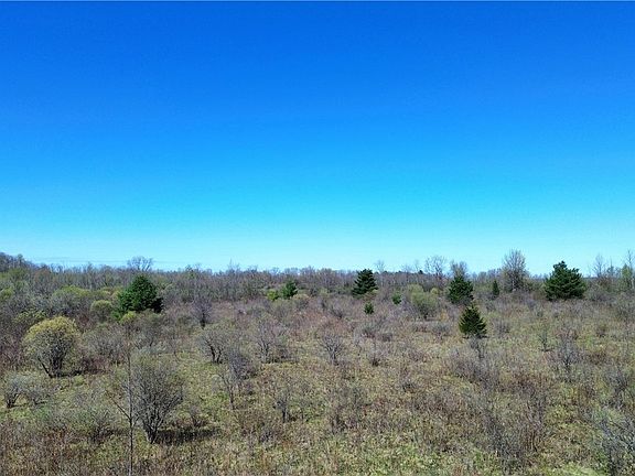 5th image of LOT 12 Reed Hill Rd