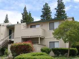Antelope Creek Apartments