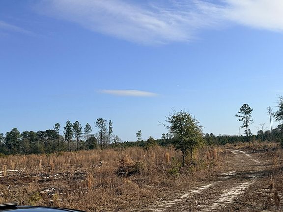 4th image of 0 Festival Trail Rd